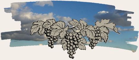 Weingut Trauben