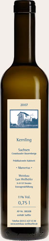 Weinflasche Weingut Wellhöfer