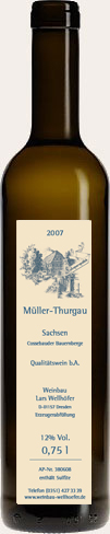 Weinflasche Weingut Wellhöfer